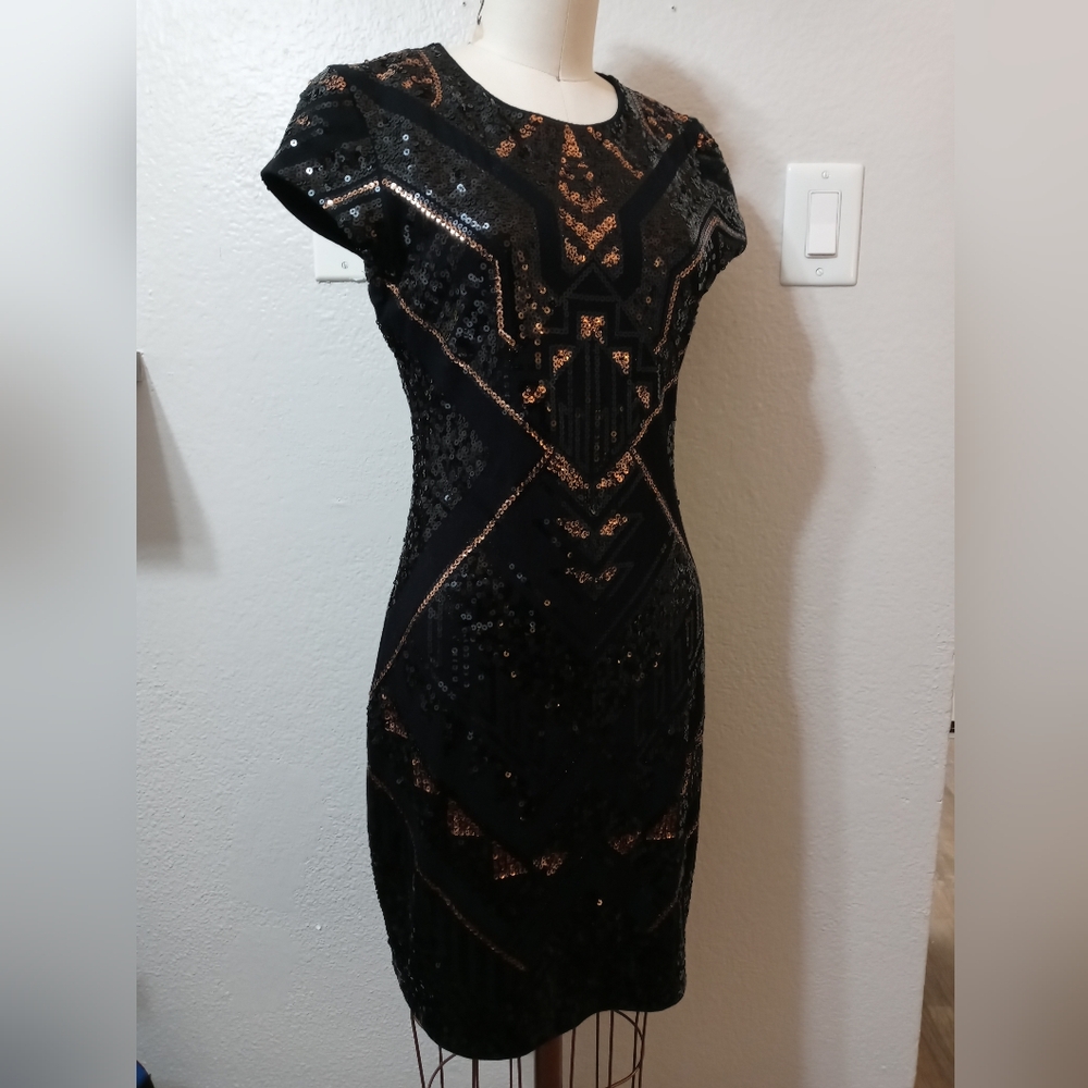 Beautiful Elegant Sequin Dress Express